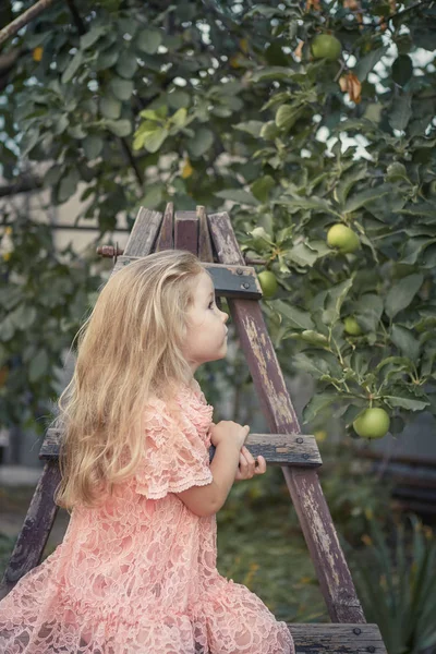 Elma Bahçesinde Güzel Küçük Kız Bahçe Bir Merdiven Üzerinde Duran — Stok fotoğraf