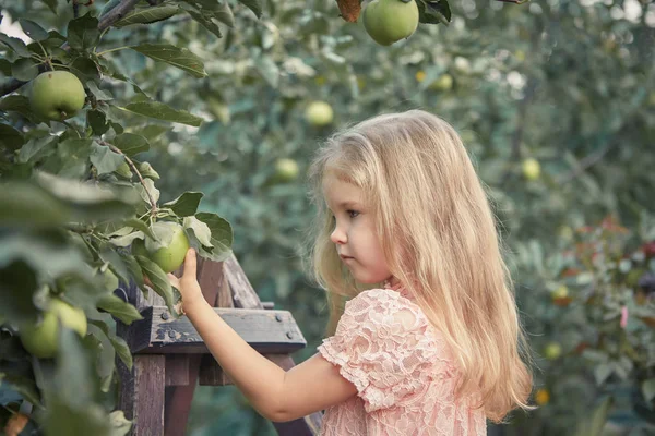 アップル ガーデンの美しい少女 庭の階段の上に立って — ストック写真