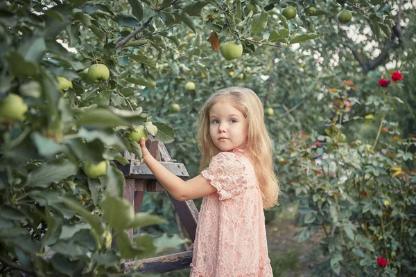 Elma Bahçesinde Güzel Küçük Kız Bahçe Bir Merdiven Üzerinde Duran — Stok fotoğraf