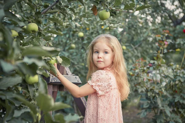 Vacker liten flicka i apple trädgård — Stockfoto