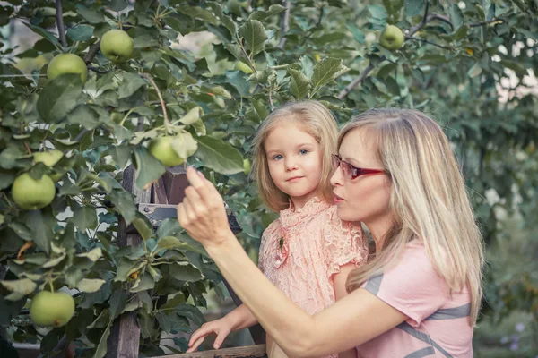 Mutlu çekici anne ve küçük sevimli kız bahçede elma toplama 