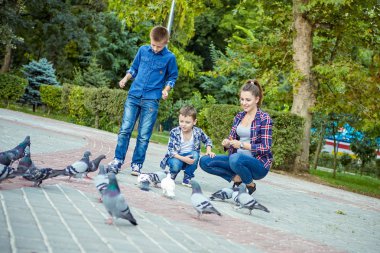 Güvercin beslenen genç güzel anne ve birlikte zevk onun iki oğlu. Mutlu bir aile. Olumlu insan duyguları, duygular, sevinç.
