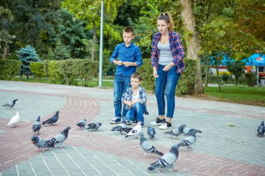 Güvercin beslenen genç güzel anne ve birlikte zevk onun iki oğlu. Mutlu bir aile. Olumlu insan duyguları, duygular, sevinç.