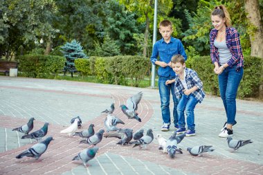 Güvercin beslenen genç güzel anne ve birlikte zevk onun iki oğlu. Mutlu bir aile. Olumlu insan duyguları, duygular, sevinç.