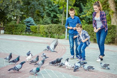 Güvercin beslenen genç güzel anne ve birlikte zevk onun iki oğlu. Mutlu bir aile. Olumlu insan duyguları, duygular, sevinç.