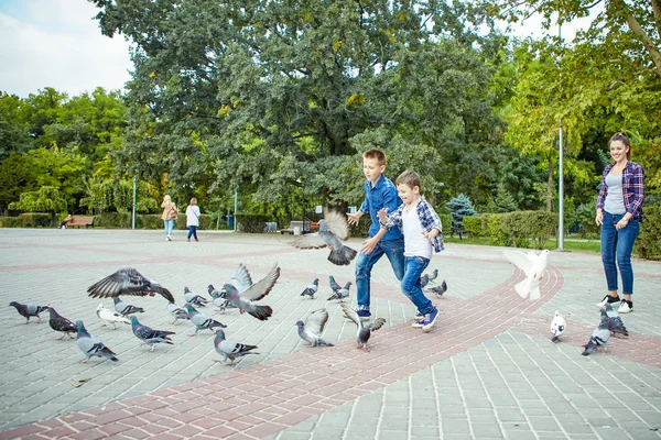 Jeune Belle Mère Ses Deux Fils Jouissant Ensemble Nourris Pigeons — Photo