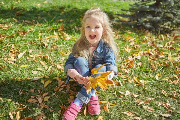 秋の晴れた日に草の上に座って幸せな少女 — ストック写真