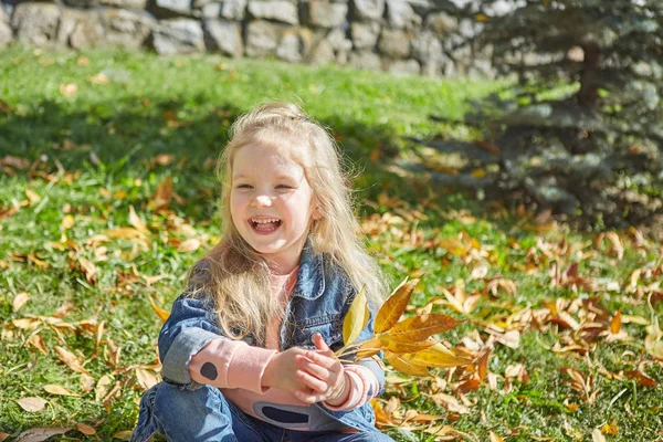 Sonbahar Güneşli Günde Çimenlerin Üzerinde Oturan Küçük Mutlu Kız — Stok fotoğraf