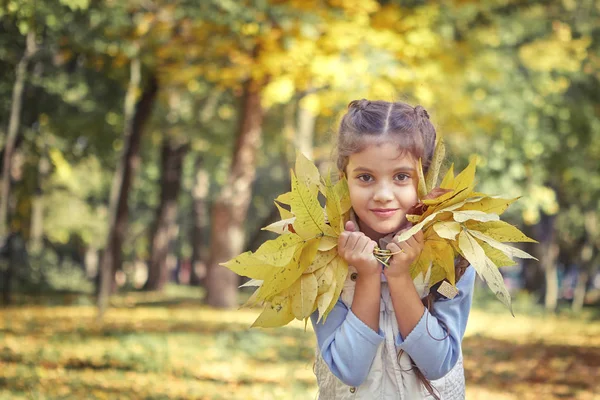 Menina feliz bonita no parque de outono . — Fotografia de Stock