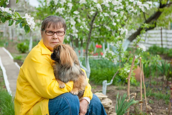 Donna con un cane Pechino nel giardino primaverile — Foto Stock