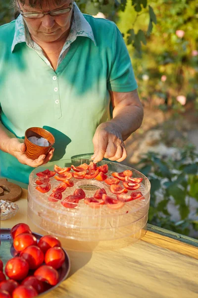 Woman in the garden sprinkle tomatoes with salt — Stock Photo, Image