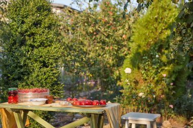 Yaz bahçesinde masada domates