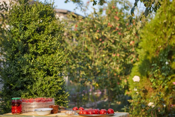 Tomater på bordet i sommarträdgård — Stockfoto