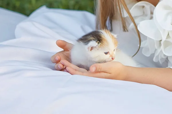 Menina Deitada Cama Jardim Verão Com Gatinho — Fotografia de Stock