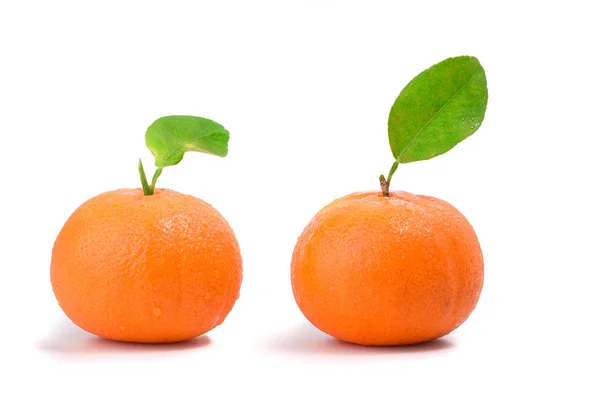 Zwei orangefarbene Mandarinen mit grünem Blatt isoliert auf weißem Hintergrund — Stockfoto
