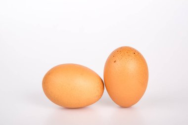 Beyaz arkaplanda yumurta izole