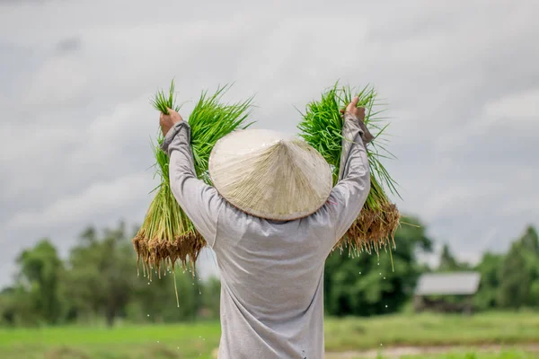 Agricultor que trabaja en la granja — Foto de Stock