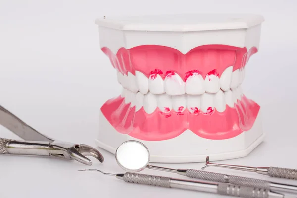Белые зубы и стоматологические инструменты на белом фоне — стоковое фото