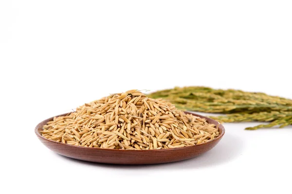 Brown rice on wooden plateand paddy on white background — Stock Photo, Image