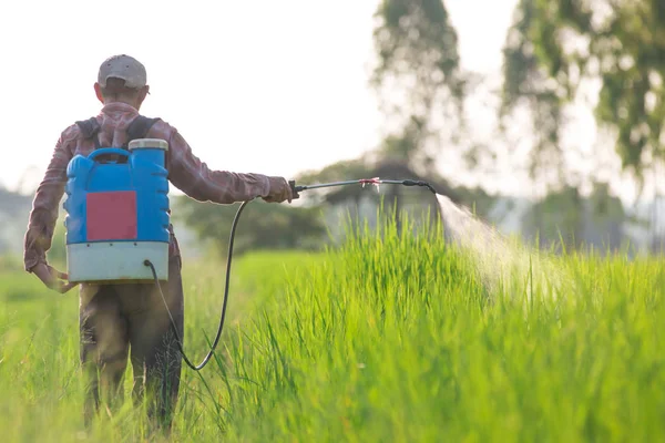 Spruzzare pesticidi — Foto Stock