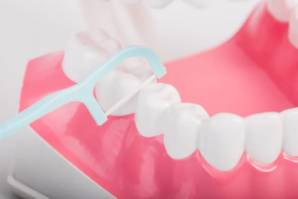 Modelo de fio dental e dentes — Fotografia de Stock