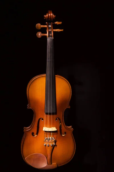 Violino vintage no fundo blackl — Fotografia de Stock