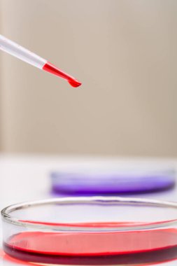 Petri kapları üzerinde kırmızı sıvı laboratuvar damla