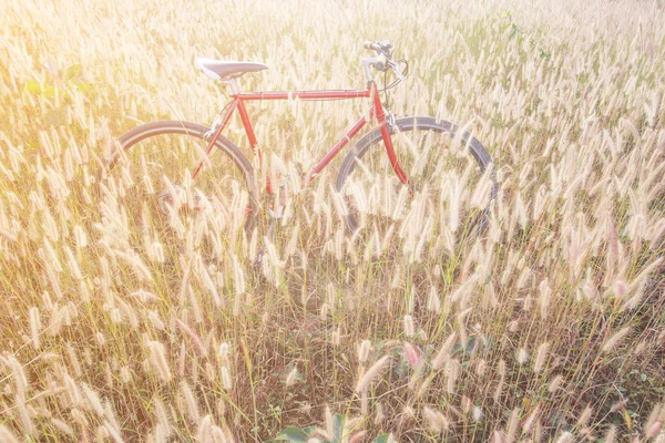 Red bicycle in morning light,soft and vintage — Stock Photo, Image