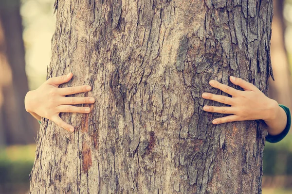Close-up of hands hugging tree