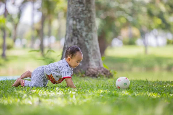 Thailändisches Baby spielt auf Gras im Park — Stockfoto