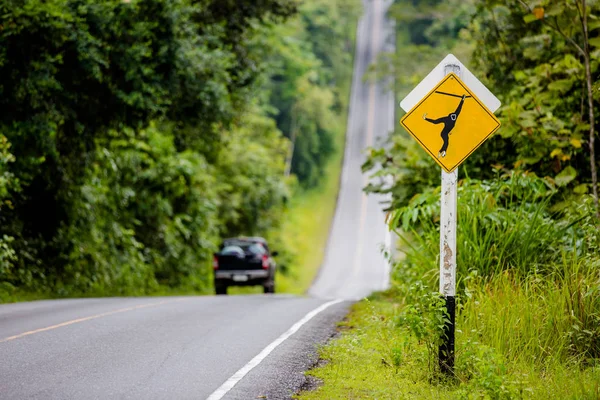 Señal de cruce de mono y carretera —  Fotos de Stock