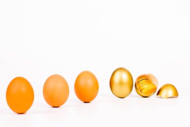 beyaz arka plan üzerinde altın yumurta ve altın sikke, zenginlik kavramı