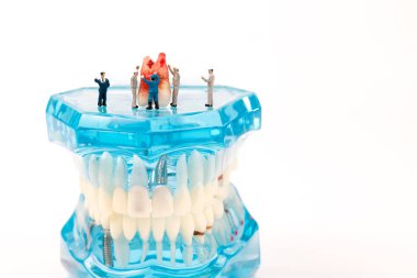 diş modeli ile minyatür figür insanlar 