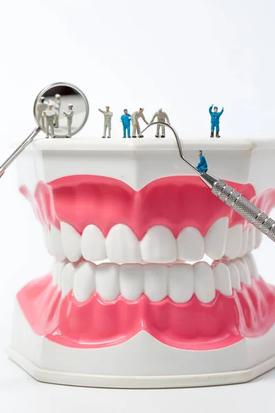 人们清洁牙齿模型在白色背景,微型 — 图库照片