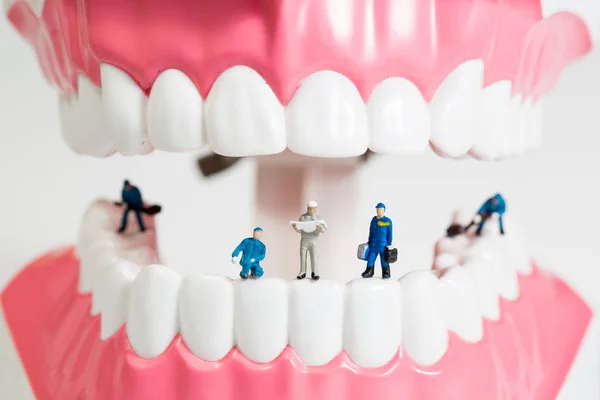 Pessoas em miniatura para limpar o modelo de dente — Fotografia de Stock