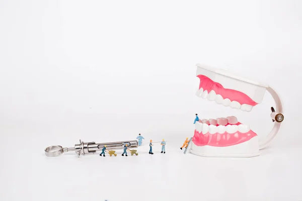 Miniature people clean tooth model,medical concept — Stock Photo, Image