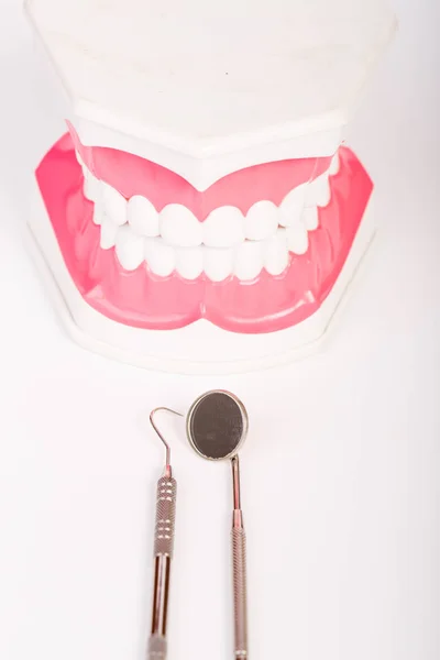 Ferramenta odontológica e modelo dental em fundo branco — Fotografia de Stock