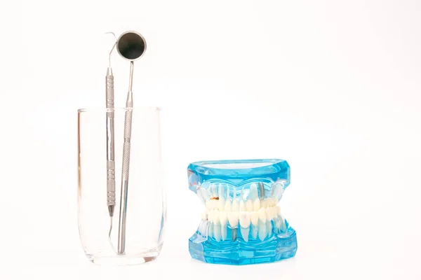 Dental model object with dental tool,dental care concept — Stock Photo, Image