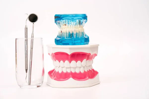 Dental model object with dental tool,dental care concept — Stock Photo, Image