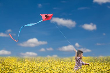 sarı çiçek alanında uçurtma oynayan asyalı çocuklar