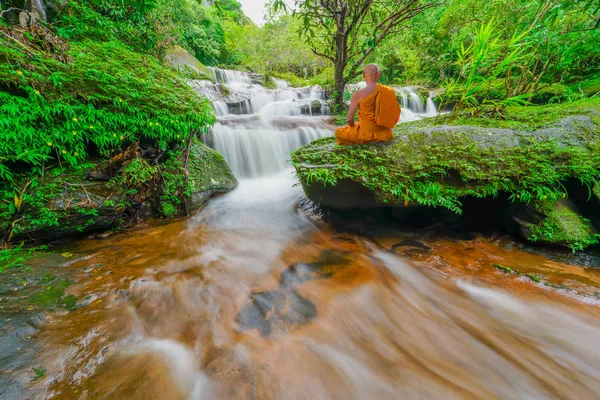 Buddha monk practice meditation at waterfall in rain forest