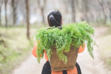 Tarım cr sepeti ile tradiyional elbise ile Hmong kız