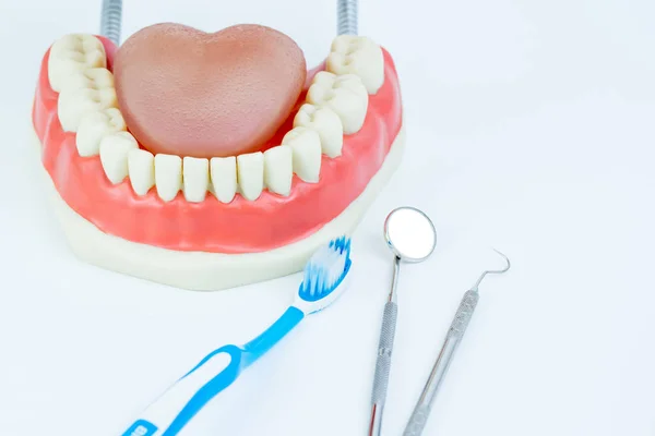 Объект стоматологической модели с зубным инструментом, зеркало, крючок на белом спинке — стоковое фото