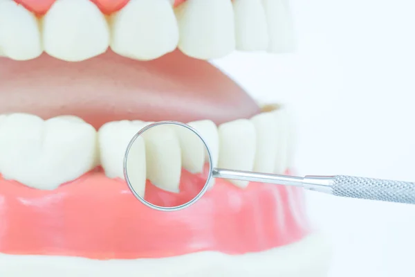 Закрыть объект стоматологической модели с помощью стоматологического инструмента, зеркало — стоковое фото