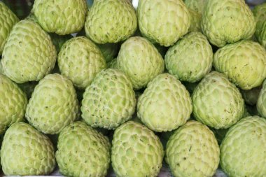 Taze pazarda yeşil muhallebi elma