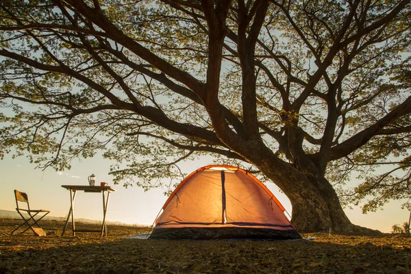 Tienda de campaña naranja debajo del árbol al amanecer o al atardecer — Foto de Stock