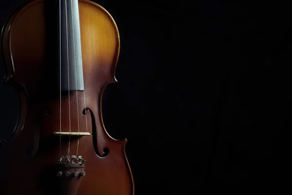 Close up violin on black background — Stock Photo, Image