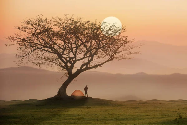 Hombre en camping bajo el árbol con atardecer o amanecer backgr —  Fotos de Stock