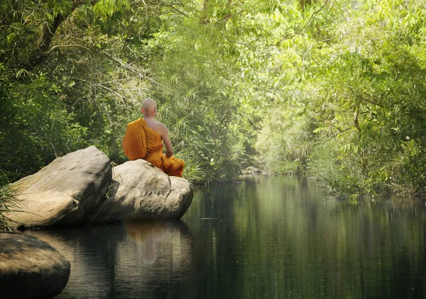 Buddha szerzetes gyakorolja meditáció az erdőben — Stock Fotó