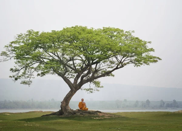 Buddha szerzetes gyakorlat meditáció a fa alatt — Stock Fotó